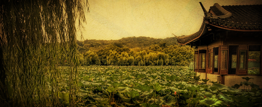 Hangzhou View